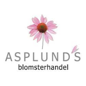 asplunds